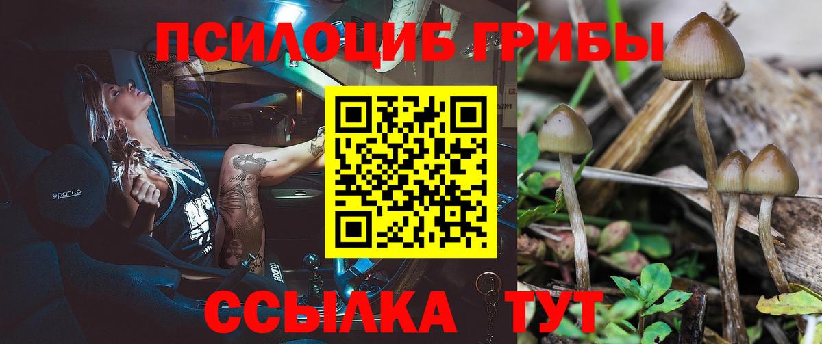 Новозыбков  Псилоцибиновые грибы мухоморы  Вход с VPN 